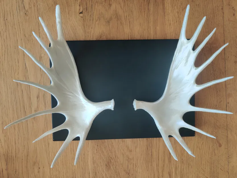 Sừng Nai Sừng Tấm (Phần 2) - Image 1