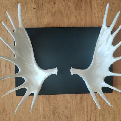 Sừng Nai Sừng Tấm (Phần 2)