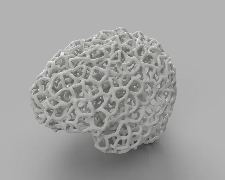 Bộ não của tôi - Voronoi - Image 1