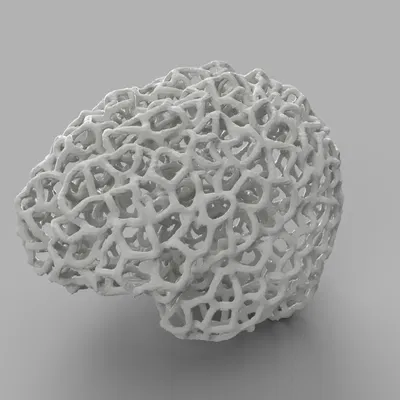 Bộ não của tôi - Voronoi