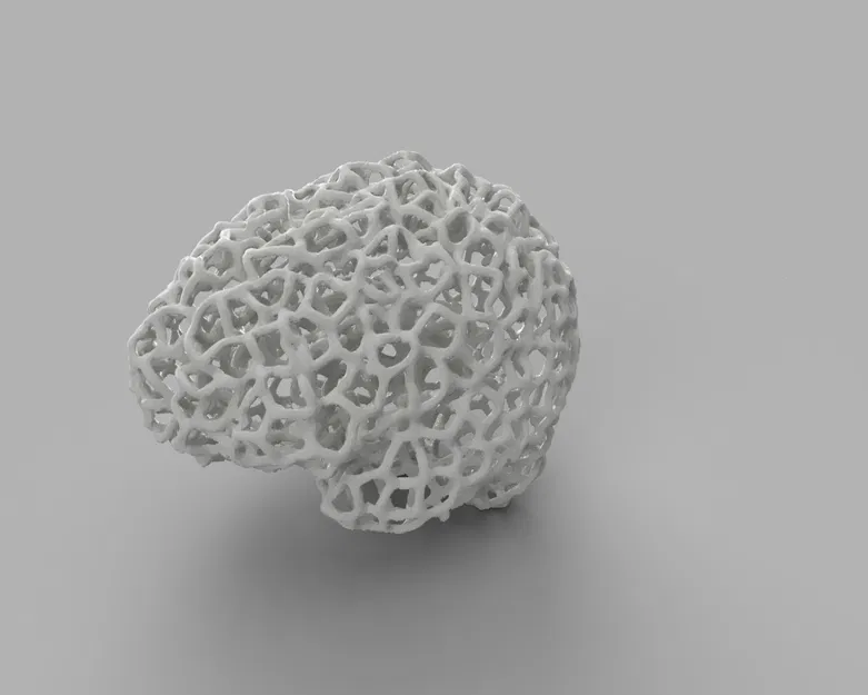 Bộ não của tôi - Voronoi - Image 2