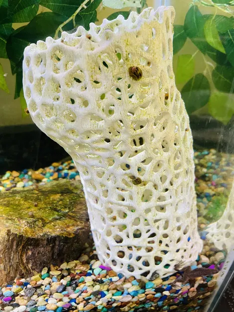 Cấu trúc Guppies Voronoi - Image 1