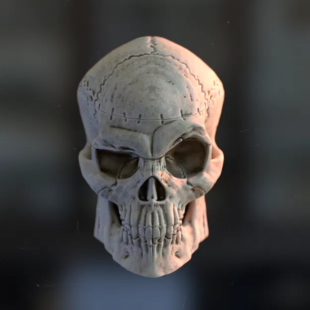 Đầu Lâu Đựng Đồ - Image 2