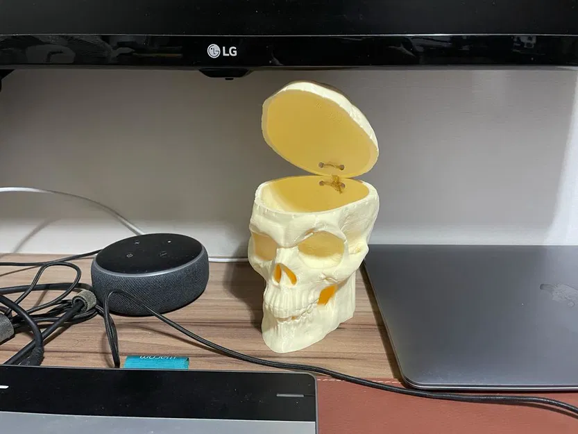 Đầu Lâu Đựng Đồ - Image 4