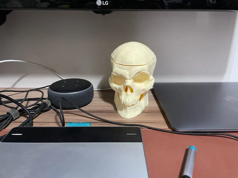 Đầu Lâu Đựng Đồ - Image 5