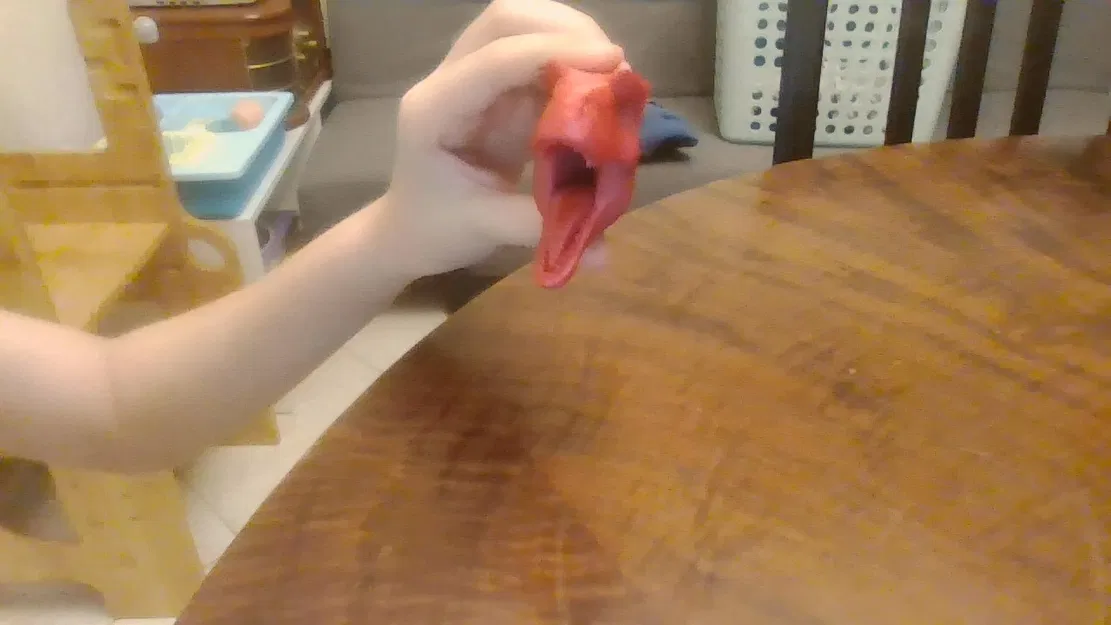 Mô hình đầu khủng long Albertosaurus - Image 4