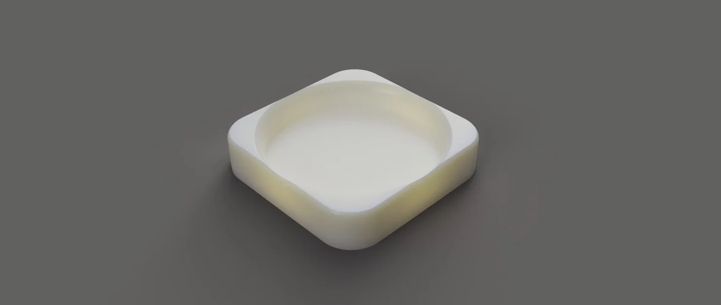 Vỏ Sò Nhỏ - Image 1