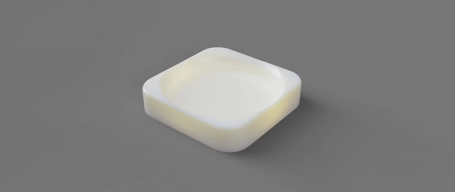 Vỏ Sò Nhỏ - Image 2