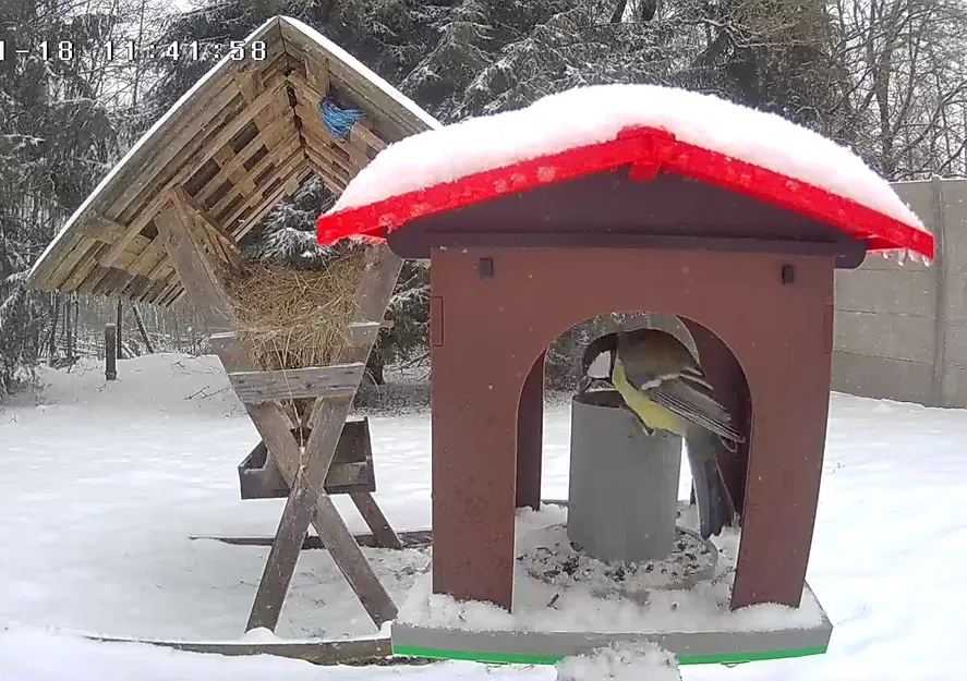 Chuồng Chim Ăn - Nhà Chim - Image 2