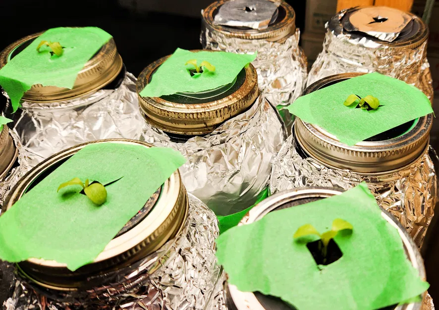 Adapter cho cốc lưới, lọ thủy tinh (mason jar) - Image 2