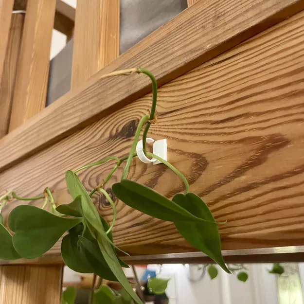 Kệ treo cây - Image 1