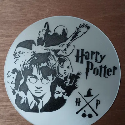 Mô hình Đĩa Harry Potter