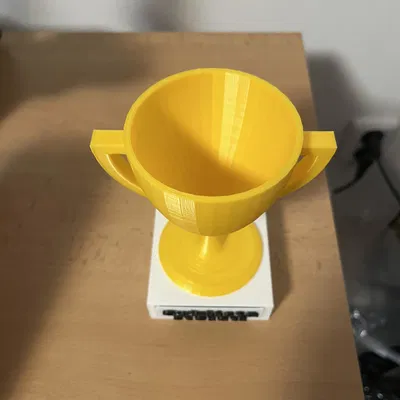 Cúp Tùy Chỉnh Chữ