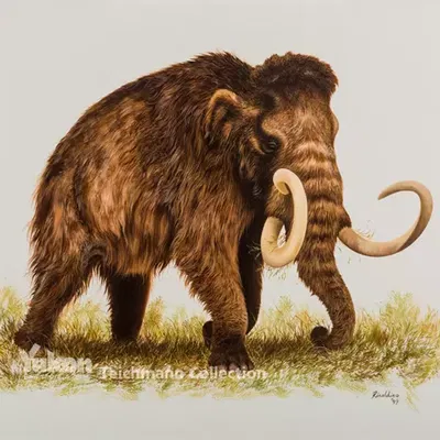 Tượng Voi Ma Mút Charles Knight (Bản Quét 3D)