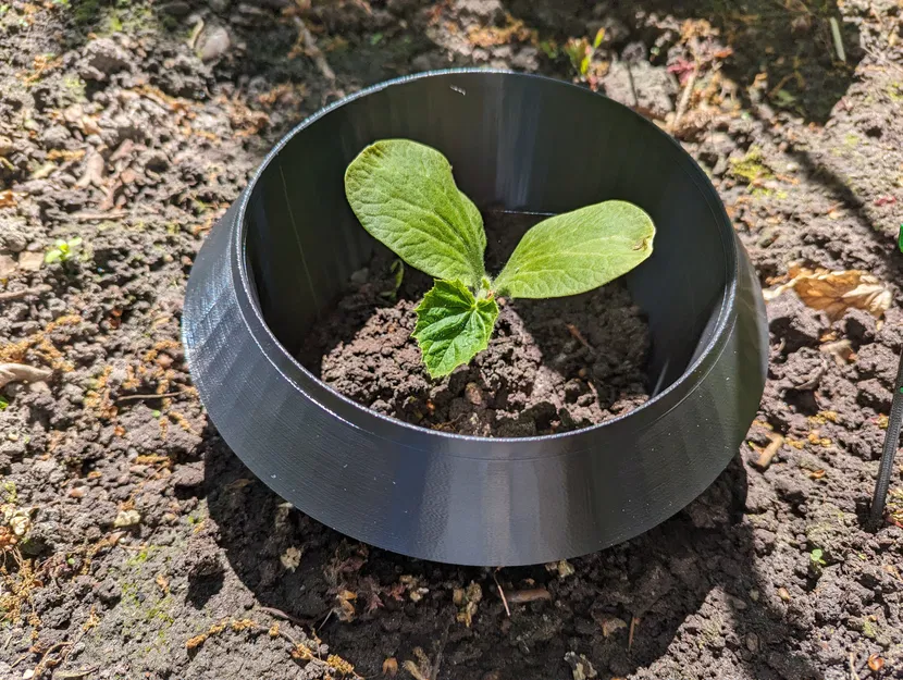 Vòng Cổ Sên (Schneckenkragen) Bảo Vệ Cây Con - Image 1