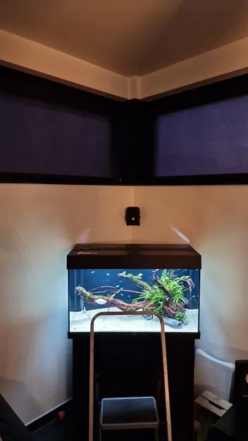 Giá treo tường loa JBL Link - Image 5