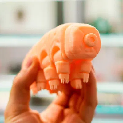 Gấu Nước Khớp Nối (Articulated Tardigrade)
