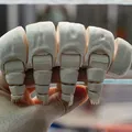 Gấu Nước Khớp Nối (Articulated Tardigrade) - Thumbnail 3