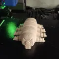 Gấu Nước Khớp Nối (Articulated Tardigrade) - Thumbnail 4
