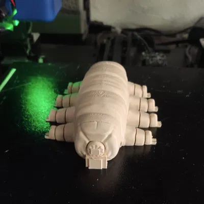 Gấu Nước Khớp Nối (Articulated Tardigrade)