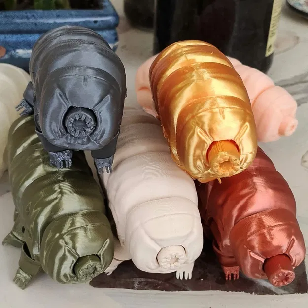 Gấu Nước Khớp Nối (Articulated Tardigrade) - Image 7