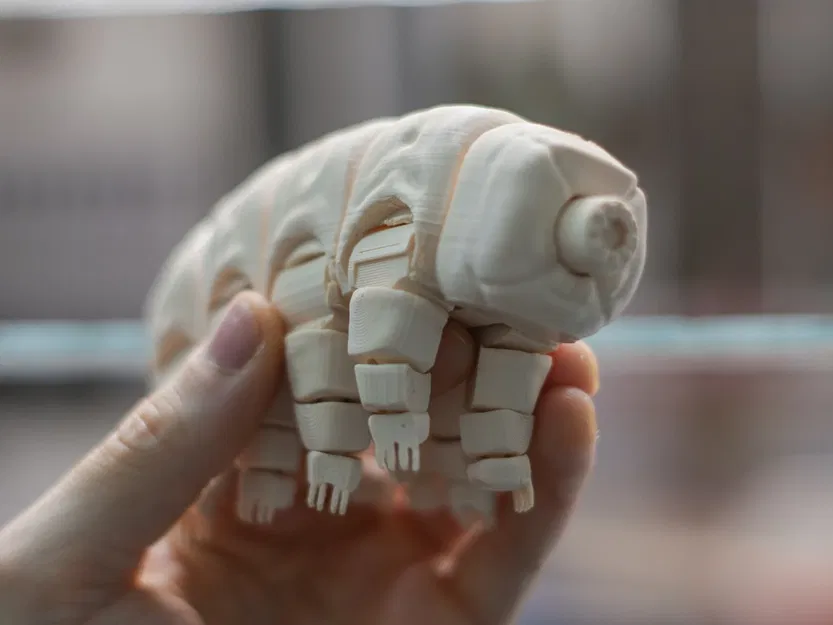 Gấu Nước Khớp Nối (Articulated Tardigrade) - Image 8