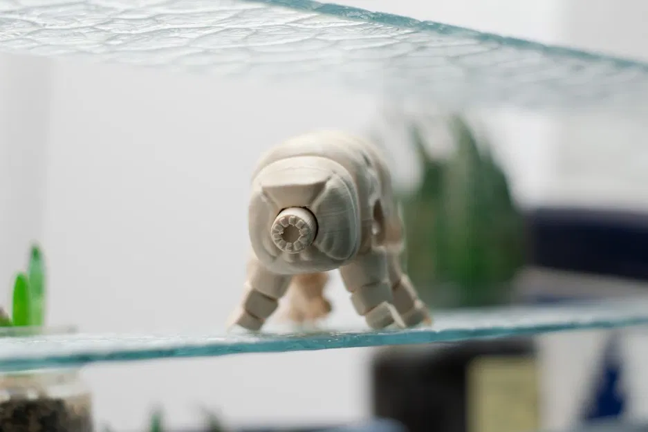 Gấu Nước Khớp Nối (Articulated Tardigrade) - Image 9