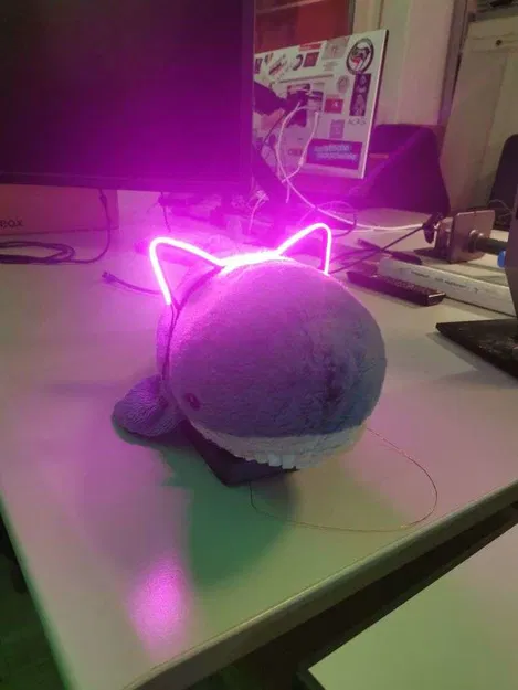 Bờm tai mèo - Tai mèo và các loại tai họ mèo - Image 3