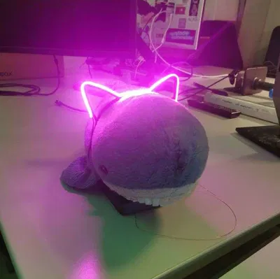 Bờm tai mèo - Tai mèo và các loại tai họ mèo