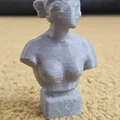 Tượng thần Vệ Nữ (của nhà điêu khắc Ý Antonio Canova) - Thumbnail 1
