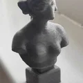 Tượng thần Vệ Nữ (của nhà điêu khắc Ý Antonio Canova) - Thumbnail 2