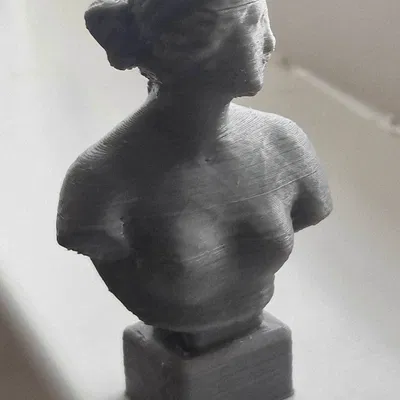 Tượng thần Vệ Nữ (của nhà điêu khắc Ý Antonio Canova)