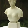 Tượng thần Vệ Nữ (của nhà điêu khắc Ý Antonio Canova) - Thumbnail 4