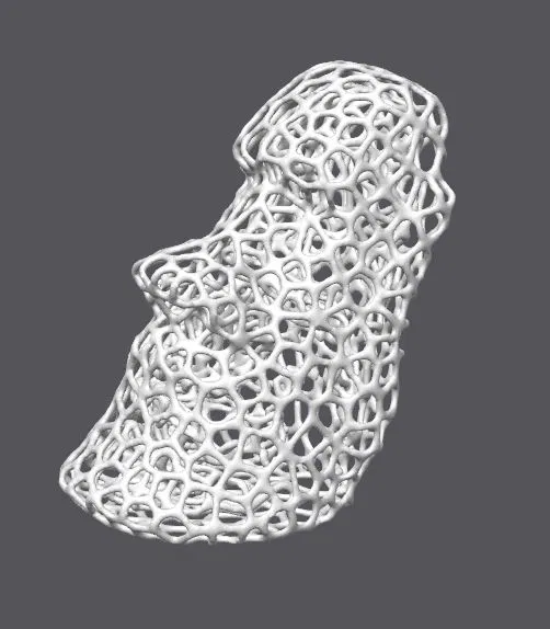 Moai voronoi - Image 1