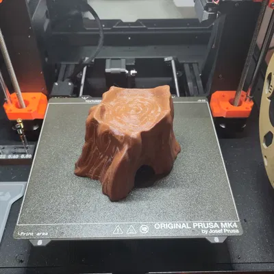 Hang Cây Mục Rỗng