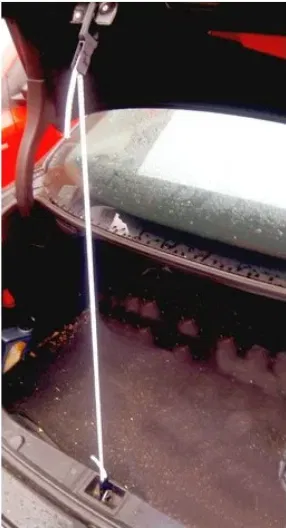 Dây Thun Co Giãn Cốp Xe 6mm Điều Chỉnh Độ Dài - Image 1