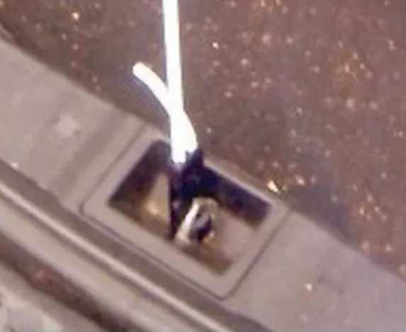 Dây Thun Co Giãn Cốp Xe 6mm Điều Chỉnh Độ Dài - Image 2