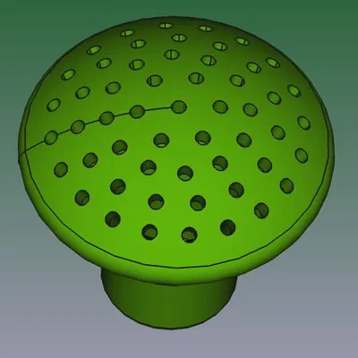 Gieskännchen Brause - Vòi sen bình tưới