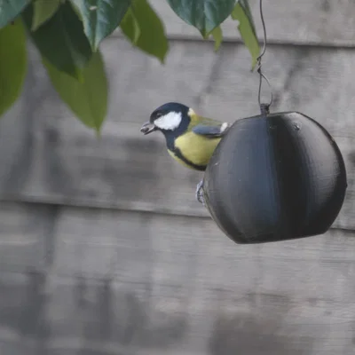 Hộp Đựng Thức Ăn Cho Chim Hình Cầu