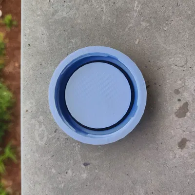 Nắp Chai "True Fruits"