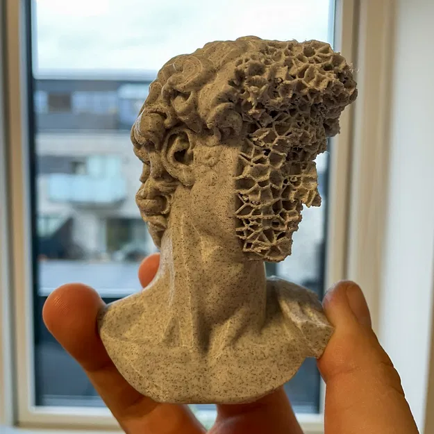 Tượng David Bị Nứt (Của Michelangelo) - Image 3