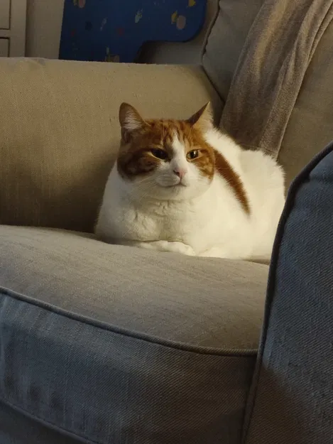 Kệ nâng TV có khe để soundbar - Image 4