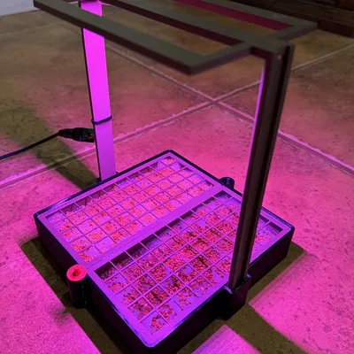 Chậu Trồng Rau Mầm Microgreens