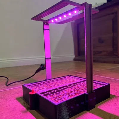 Chậu Trồng Rau Mầm Microgreens