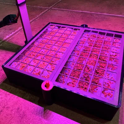 Chậu Trồng Rau Mầm Microgreens