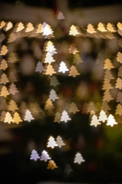 Filter Bokeh Cây Thông Noel 52mm (Cho Canon 50mm 1.8) - Image 2