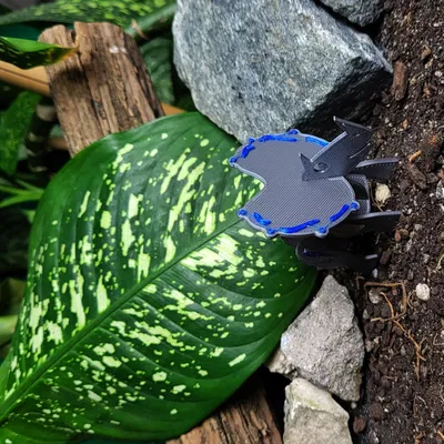 Bộ Thẻ Khủng Long 3D