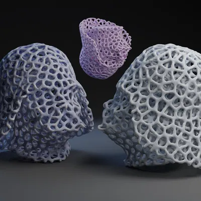 Mô hình Darth Voronader được sửa đổi