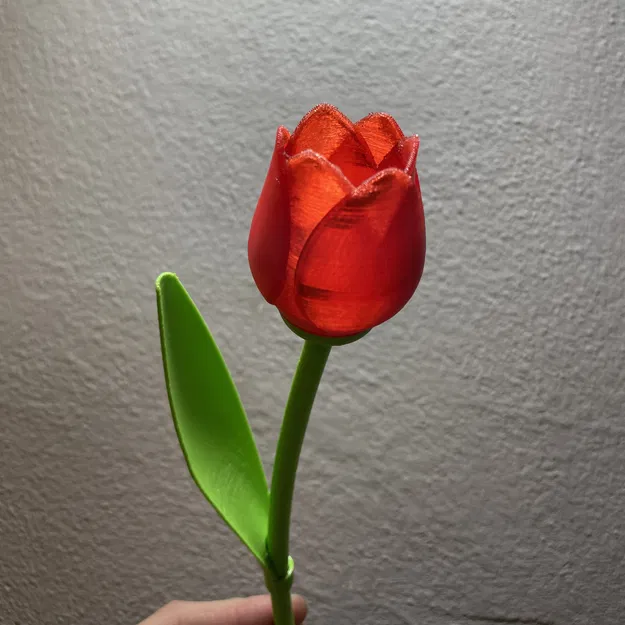 Hoa Tulip Xinh Đẹp Có Cuống - Quà Valentine Tuyệt Vời - Image 1
