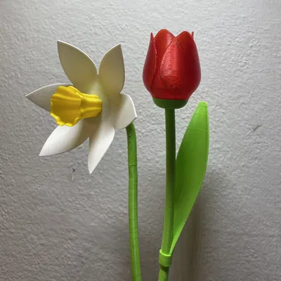 Hoa Tulip Xinh Đẹp Có Cuống - Quà Valentine Tuyệt Vời